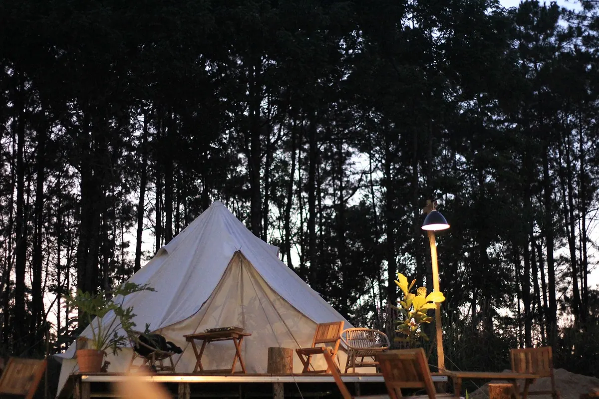 Comparison: Camping, Glamping and Cabin Stays for a Woodland Break