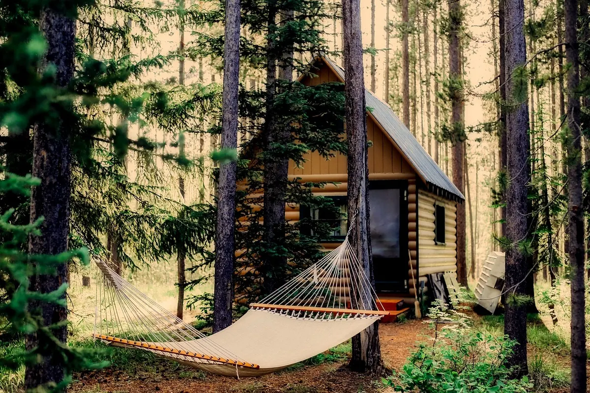 How to Plan a Silent Woodland Retreat Weekend in the UK